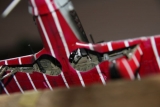 fw190d9_14